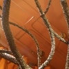 Metalwork
